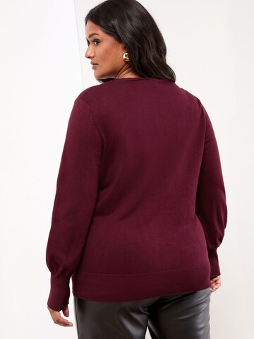 Lipsy Pullover in Rot