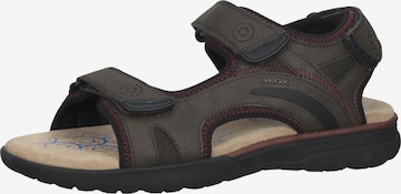 GEOX Hiking Sandals in Brown: front