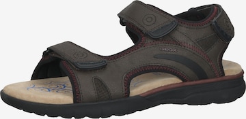 GEOX Wandelsandalen in Bruin: voorkant