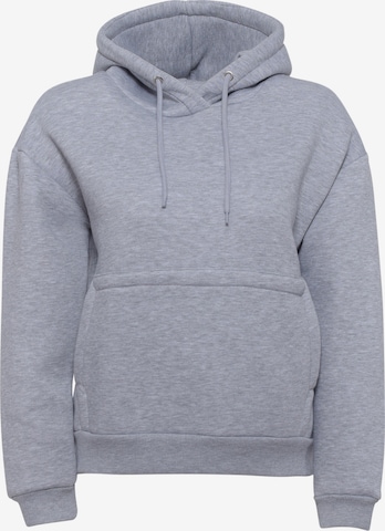 FRESHLIONS Sweatshirt ' Balina ' i grå: forside