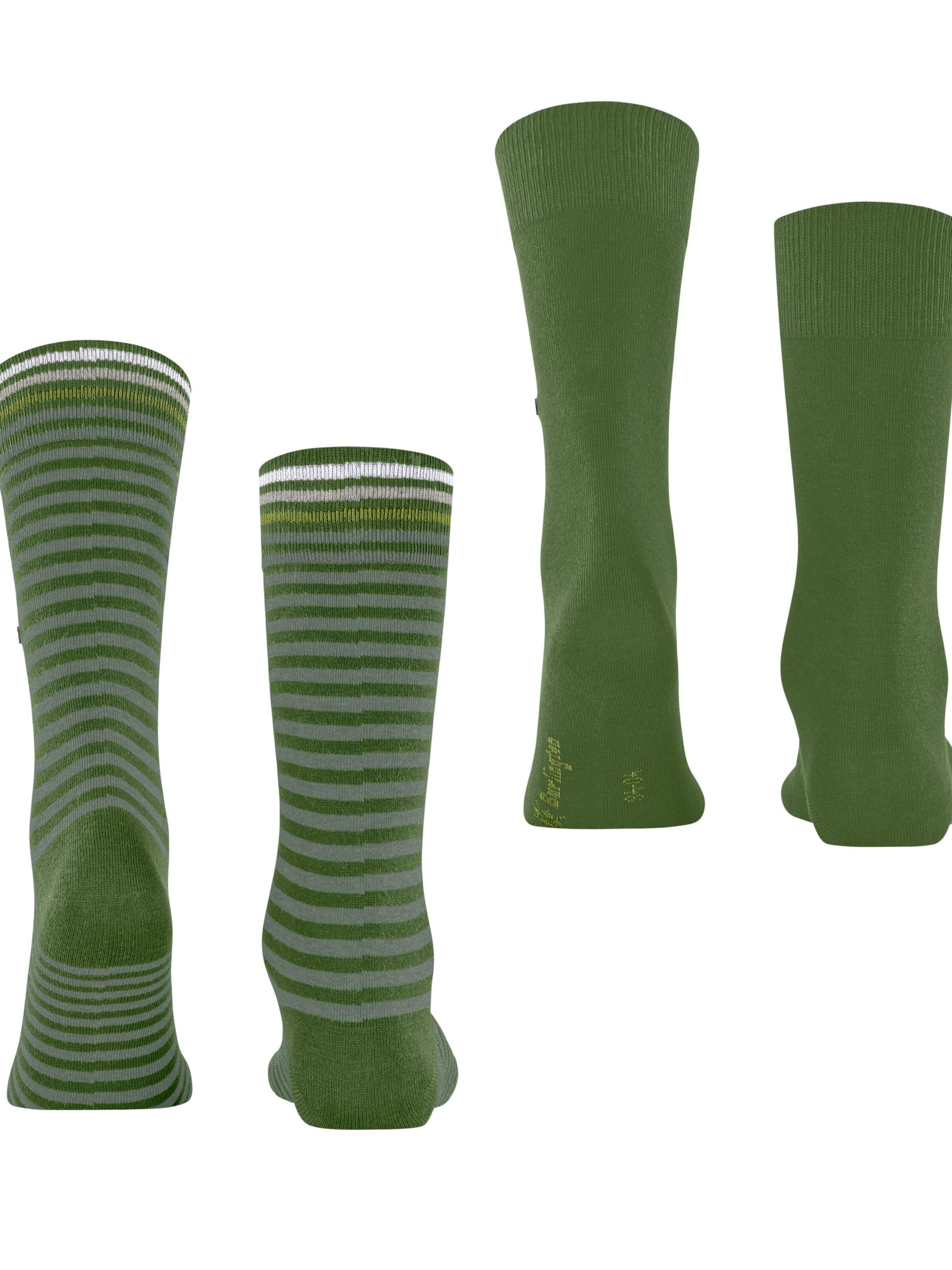 BURLINGTON Socks 'Everyday Stripe 2-Pack' in Green