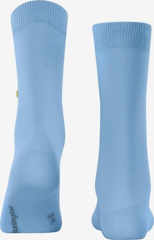 BURLINGTON Socks in Blue