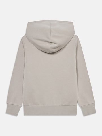 Champion Authentic Athletic Apparel Sweatshirt in Grey
