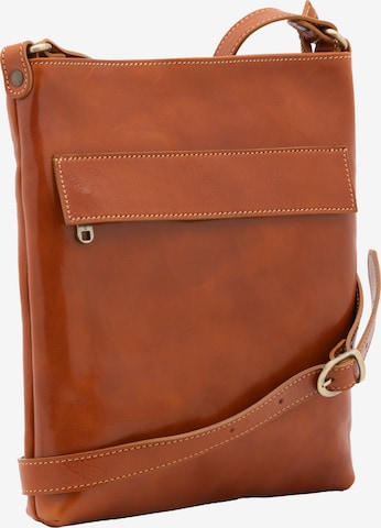 Sac à bandoulière Viola Castellani en marron : devant