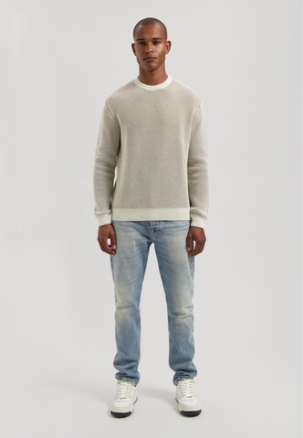 Dstrezzed Sweater 'Leones' in Grey