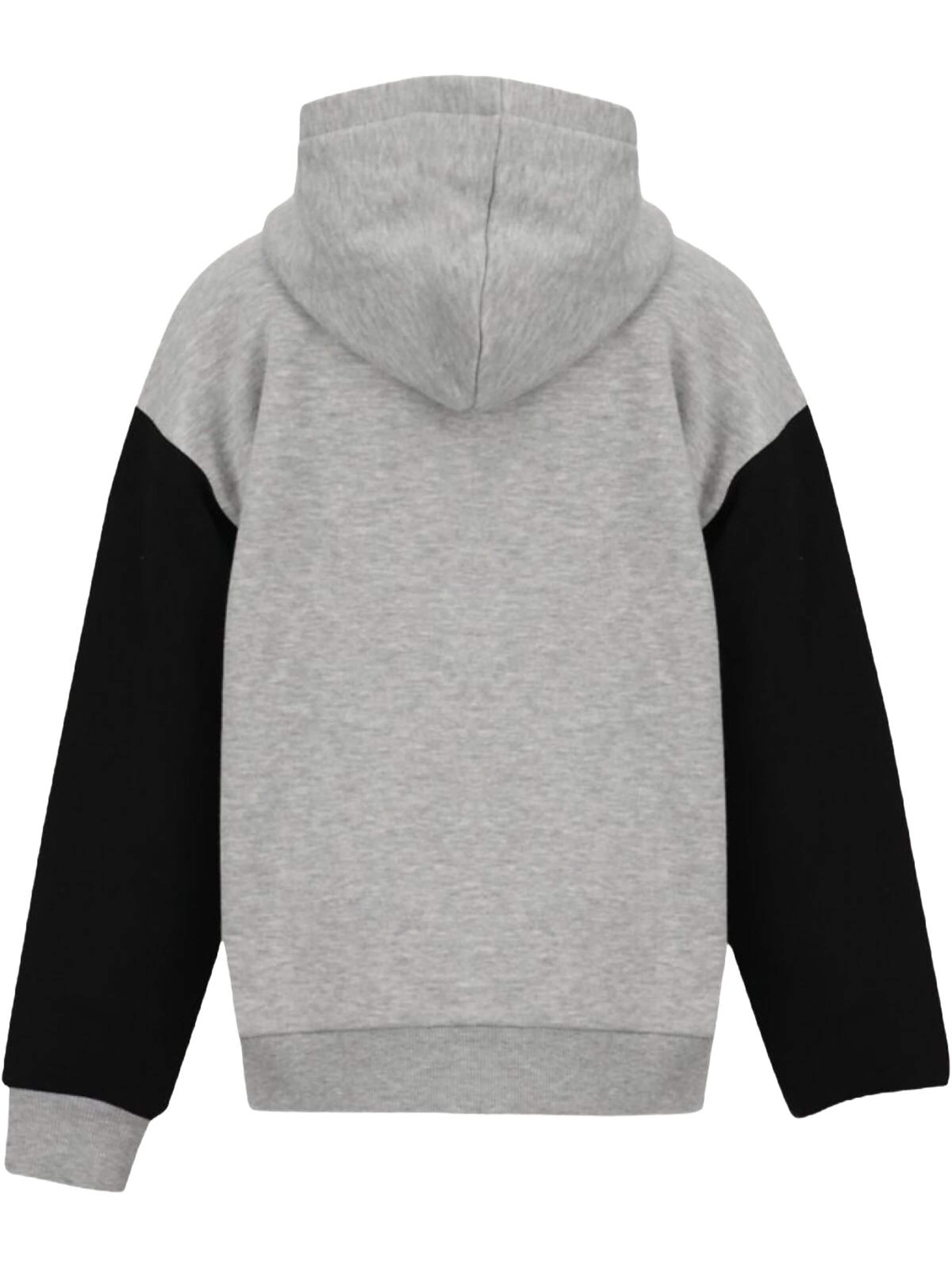 LTB Jeans - Sudadera con cremallera 'Sweatshirt' en gris