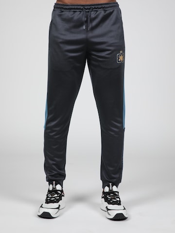 Gorilla Wear Slimfit Functionele broek in Grijs: voorkant
