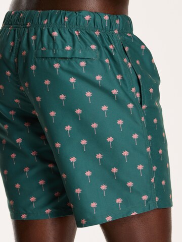 Shiwi Kratke kopalne hlače 'Palm' | zelena barva