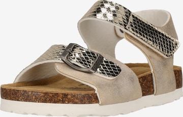 ZigZag Sandalen 'Avila' in Gold: Vorderseite