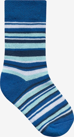 normani Sportsocken in Blau