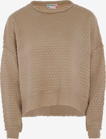 ebeeza Sweater in Brown: front