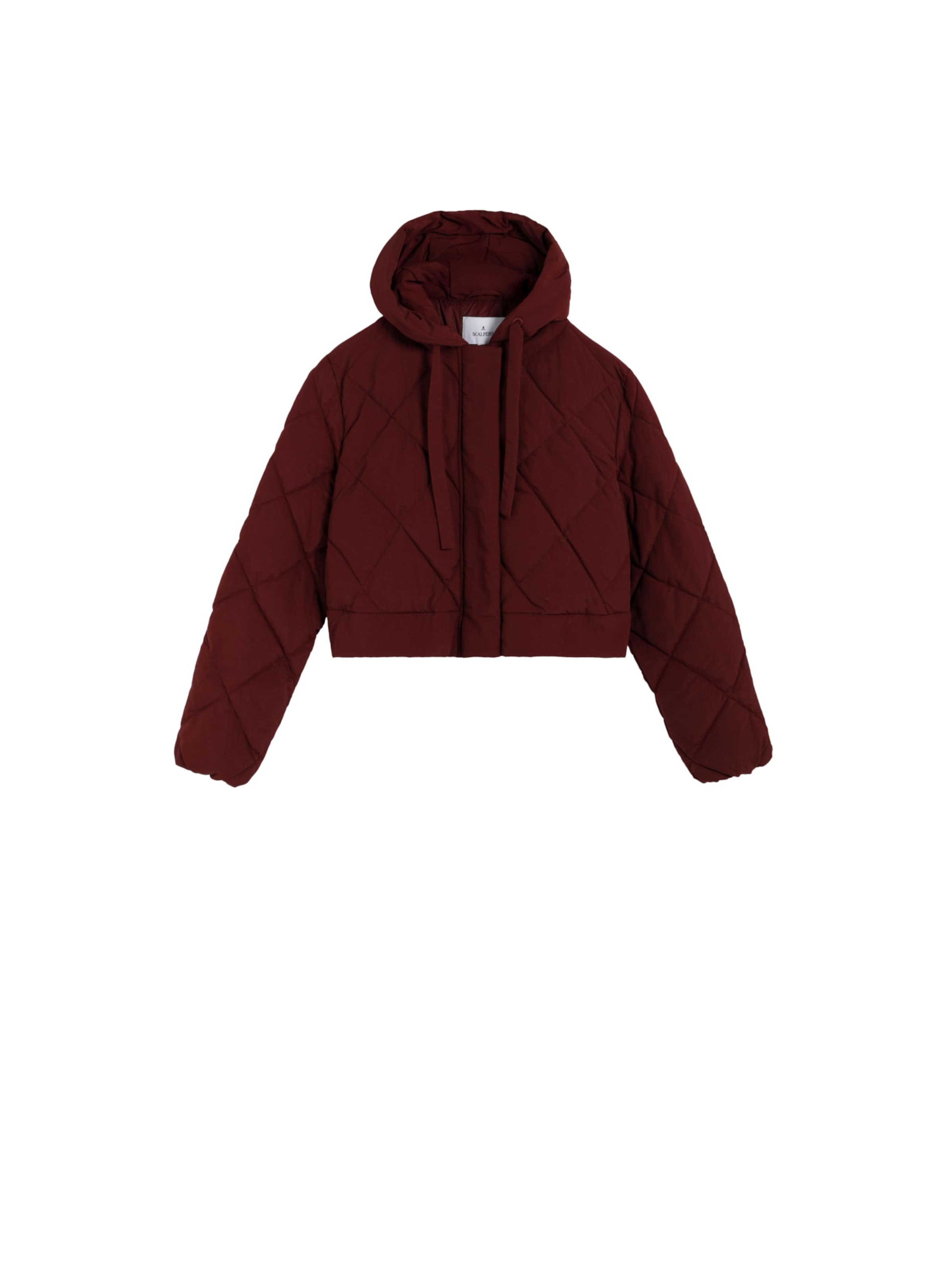 Cappotto invernale ' ' di Scalpers in marrone