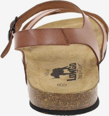 Longo Strap Sandals in Brown