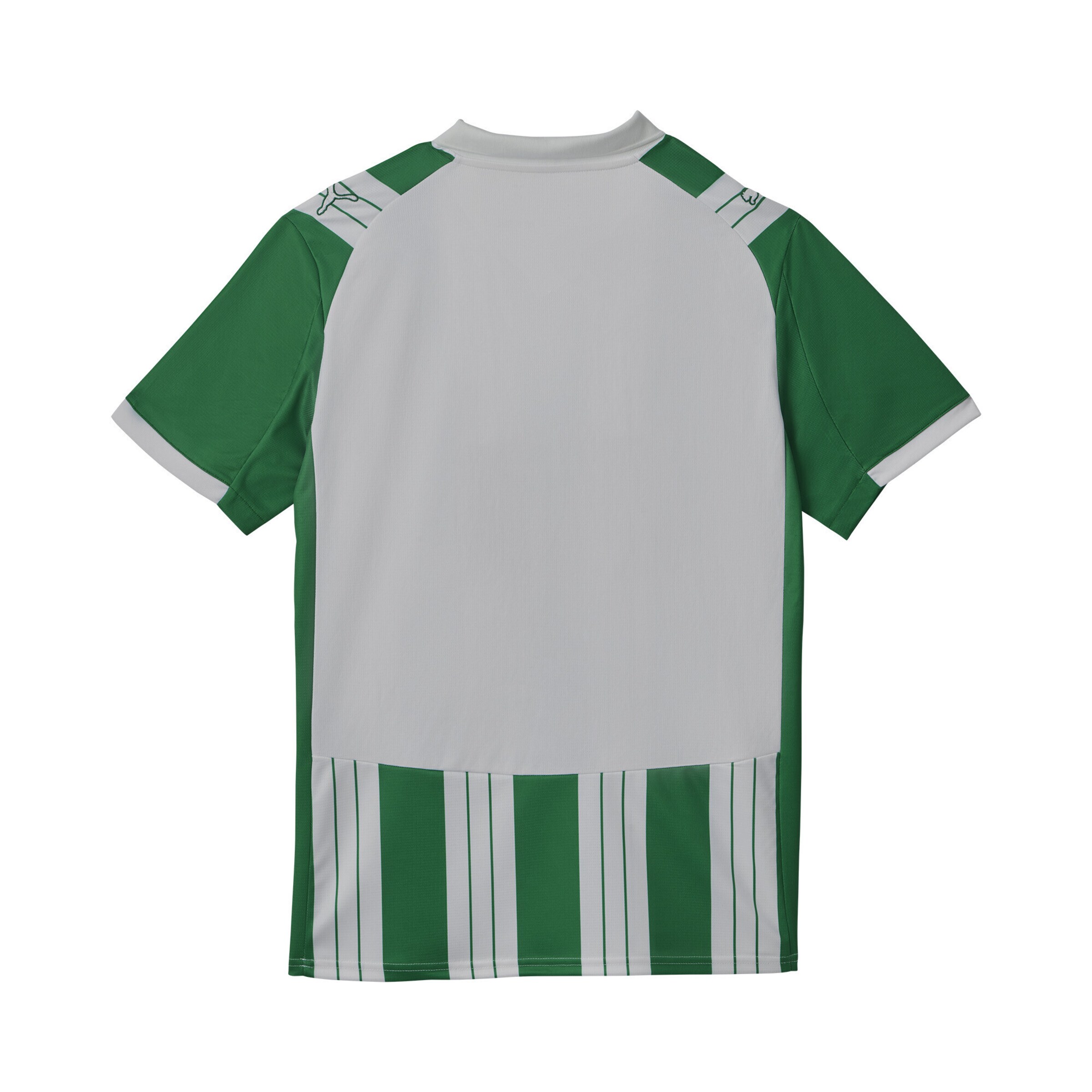 PUMA Trikot 'SK Rapid Wien 25/26' in Weiß