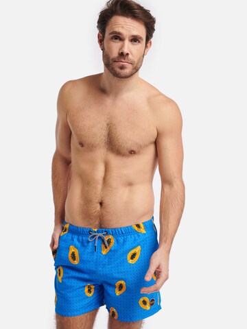 Shiwi Regular Board shorts 'Papaya' in Blue: front