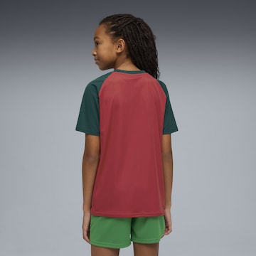 PUMA Functioneel shirt 'Marokko' in Rood