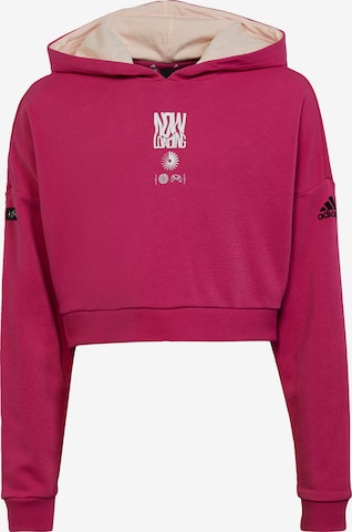 Sweat de sport 'Arkd3 ' ADIDAS SPORTSWEAR en rose : devant