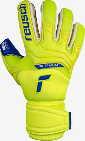 REUSCH Athletic Gloves 'Attrakt Duo Ortho-Tec' in Blue
