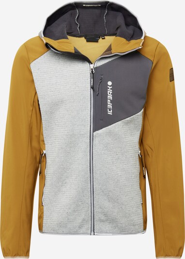 Geacă outdoor 'Bernie' ICEPEAK pe ocru / gri închis / gri amestecat, Vizualizare produs