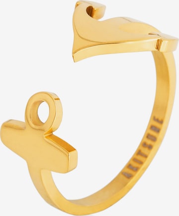 Akitsune Ring 'Anchor' in Gold: front