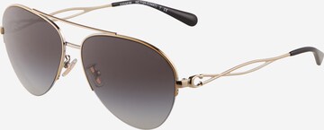 Lunettes de soleil 'HC7124' COACH en gris : devant