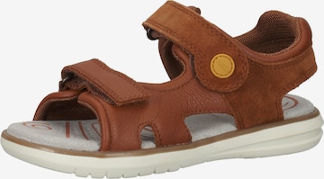 GEOX Sandals & Slippers in Brown: front