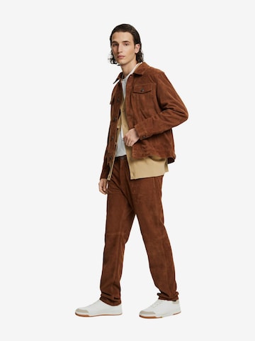 Regular Pantalon ESPRIT en marron