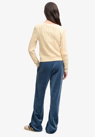 Superdry & Co - regular Pantalón en azul: atrás