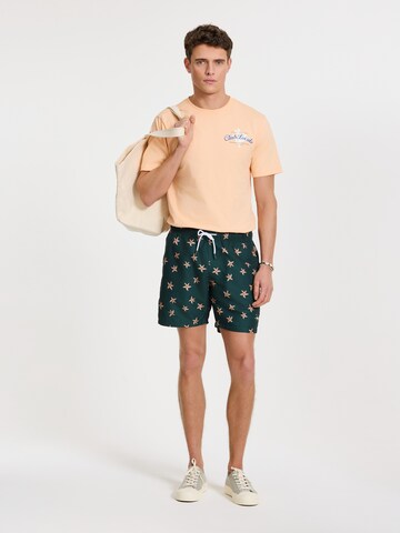 Shiwi Zwemshorts 'Mike' in Groen