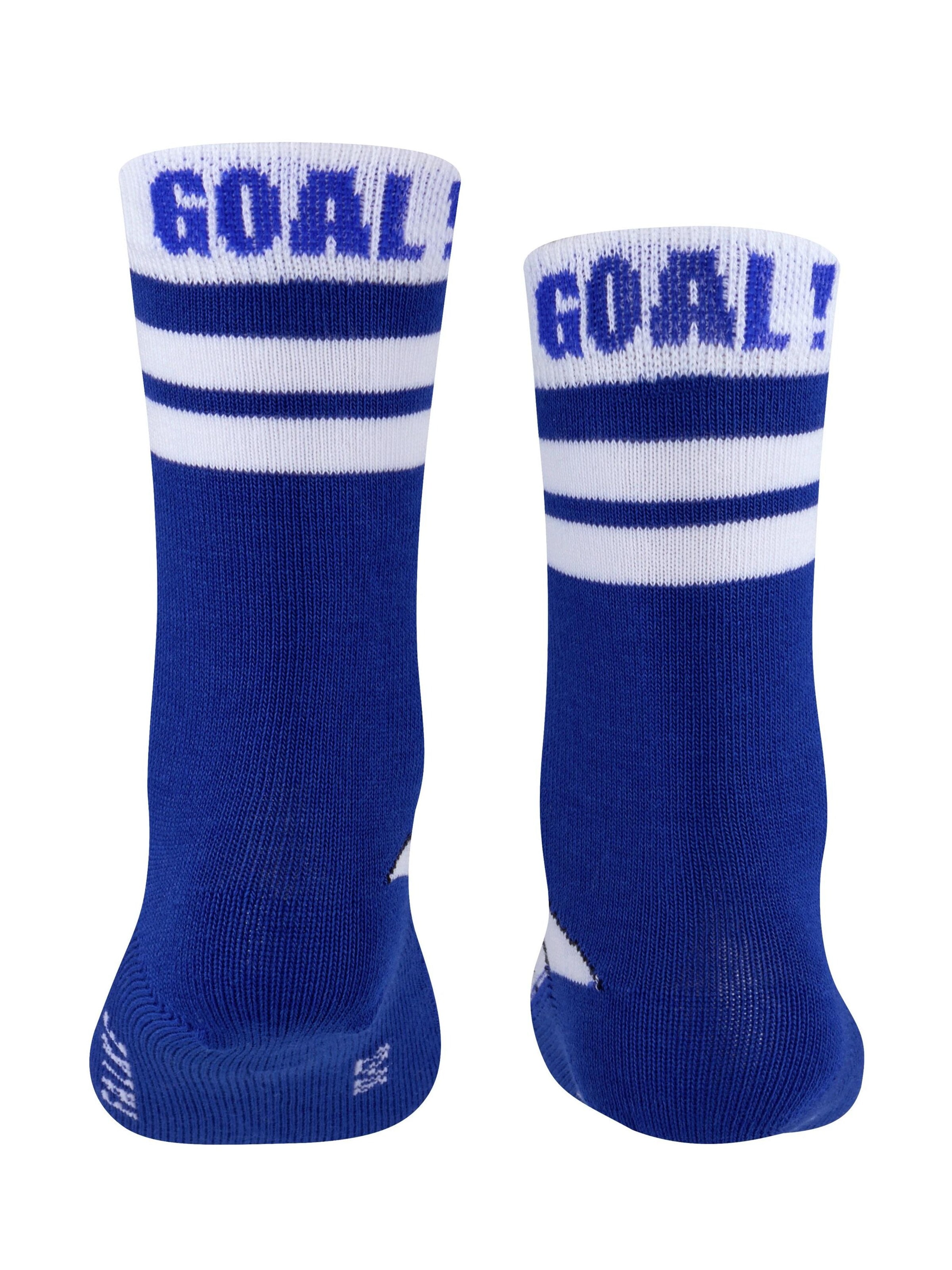 FALKE Socks 'Active Soccer' in Blue