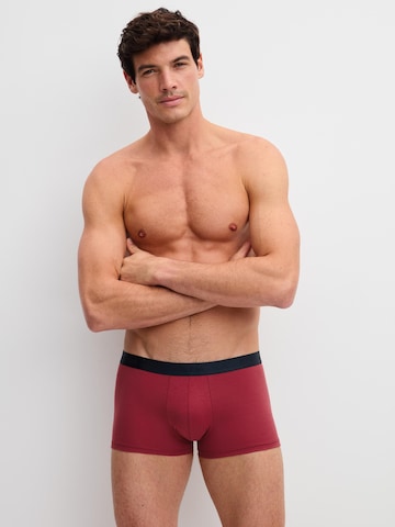 Boxers 'Cotton Special' CALIDA en mélange de couleurs