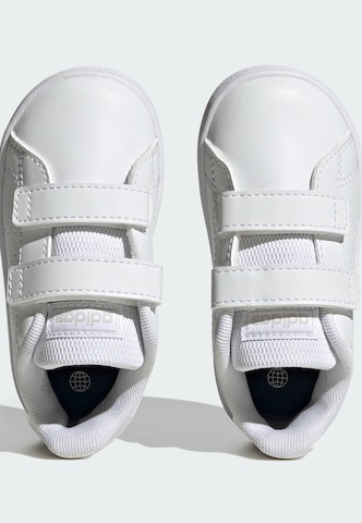 ADIDAS ORIGINALS Sneaker 'Advantage' in Weiß