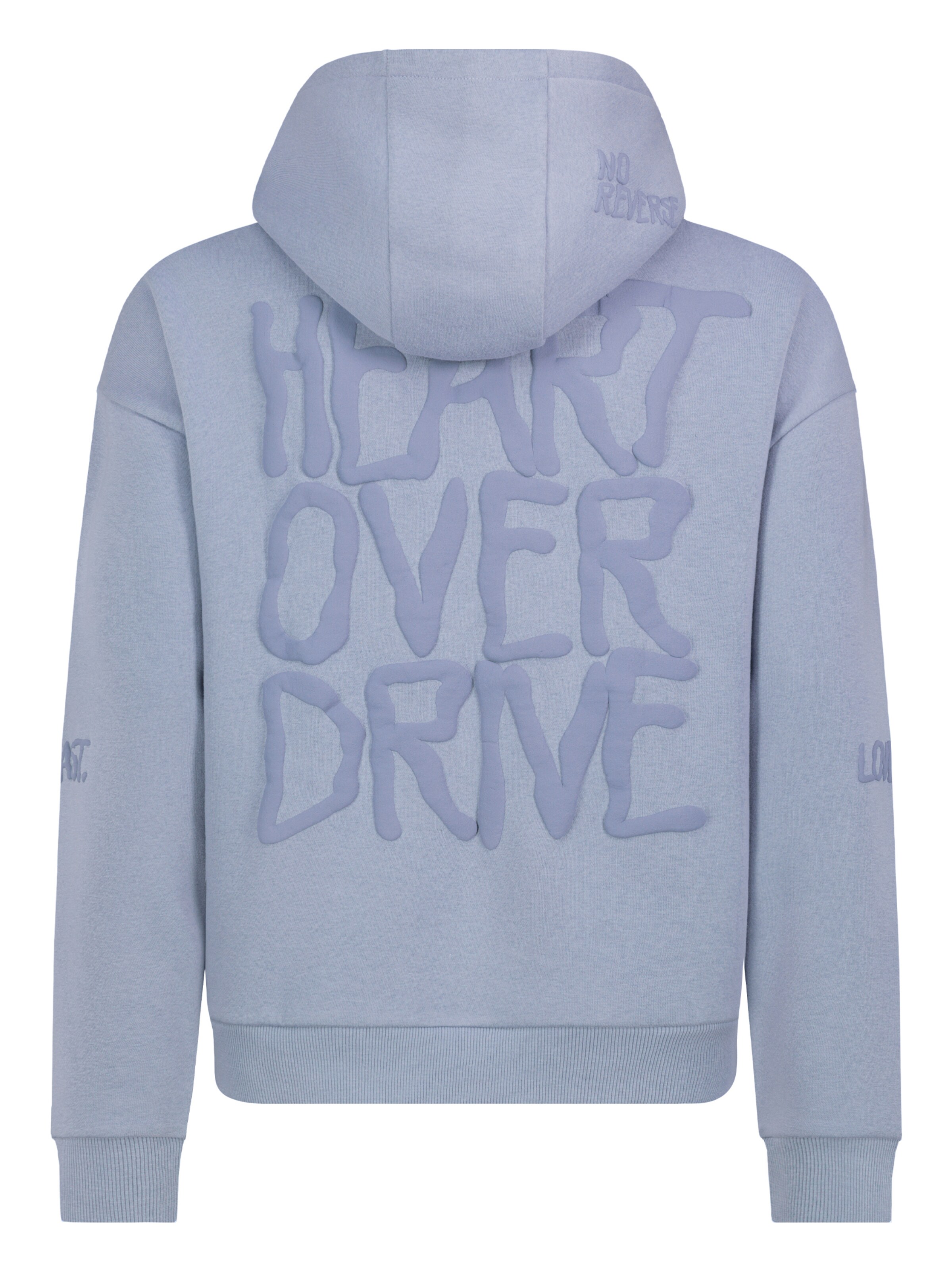 Sublevel Sweatshirt in Blauw