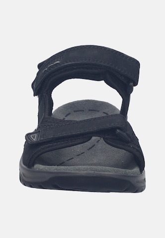 JOSEF SEIBEL Sandale 'Arlo 02 in Schwarz