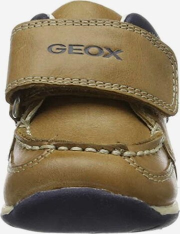 GEOX Flats in Brown