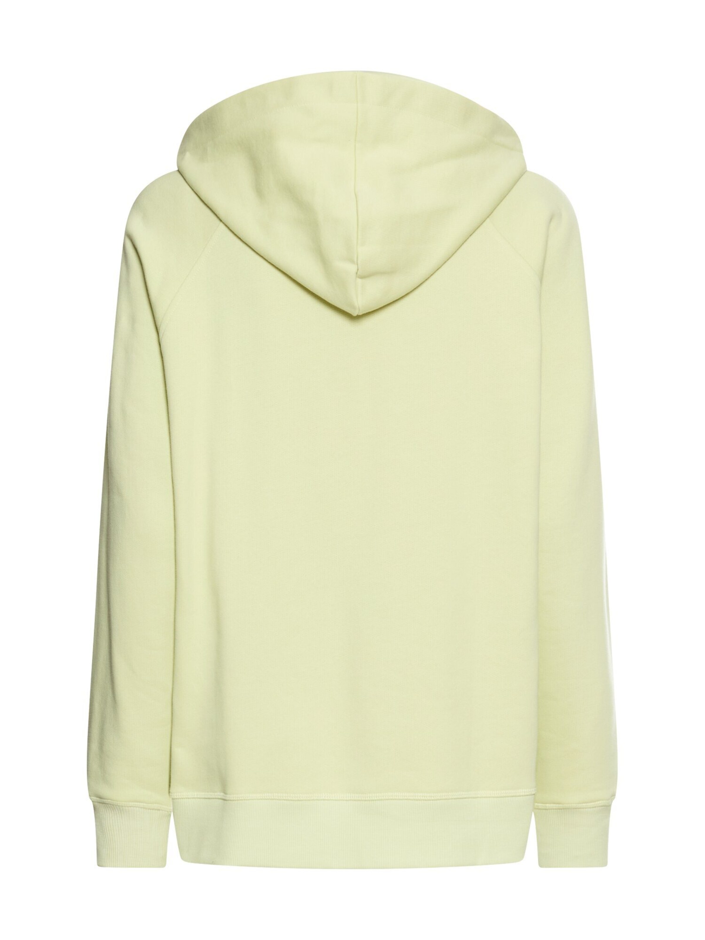 CAMEL ACTIVE Sweater in Green