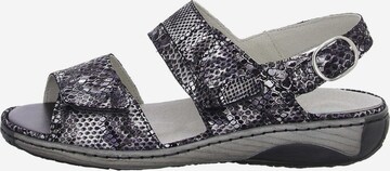WALDLÄUFER Strap Sandals in Grey