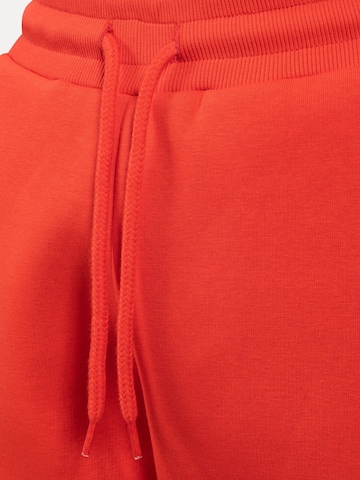 Effilé Pantalon Smilodox en orange
