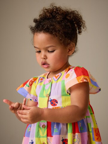 Next Dress in Mixed colors