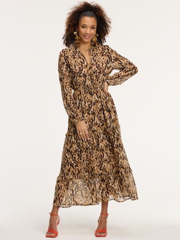 Robe 'JADE LEOPARD' Shiwi en marron