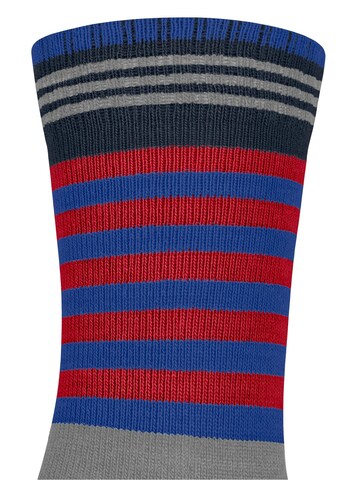 FALKE Socks 'Active Frog' in Blue