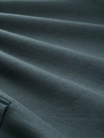 TOM TAILOR DENIM Sweatshirt in Grün
