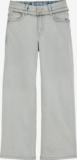 WE Fashion Джинсы в Светло-синий, Обзор товара