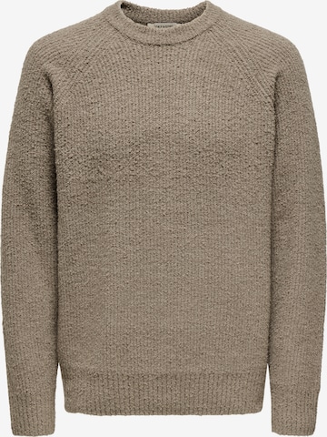 Pulover 'DALE' de la Only & Sons pe maro: față