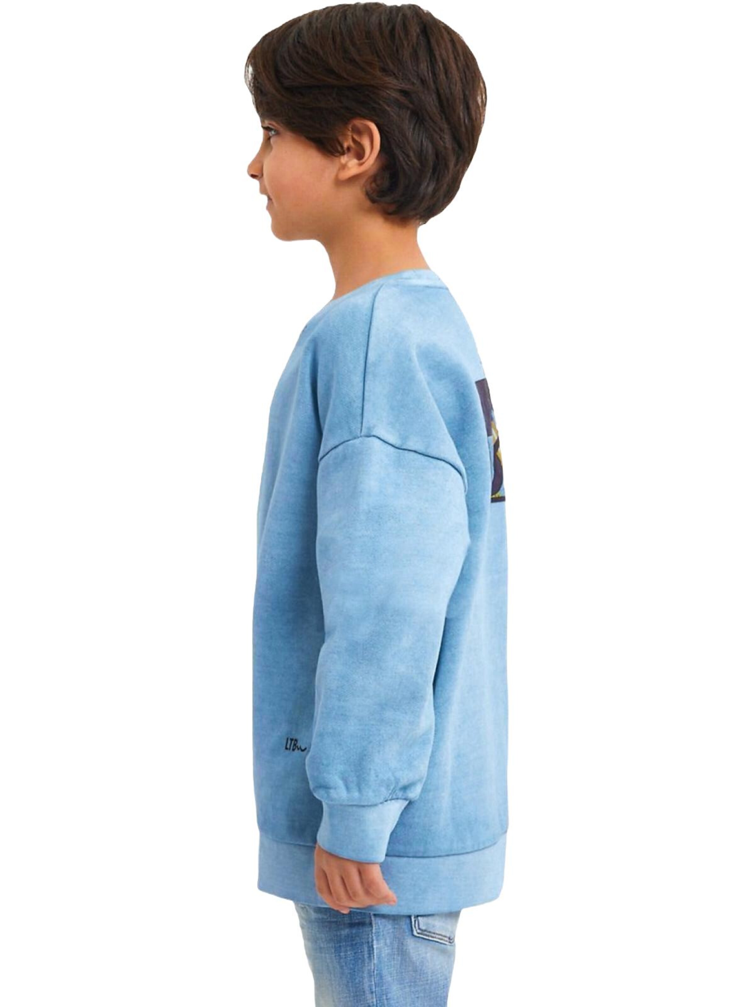LTB Jeans Sweatshirt 'Basic'‌‌ in Blau