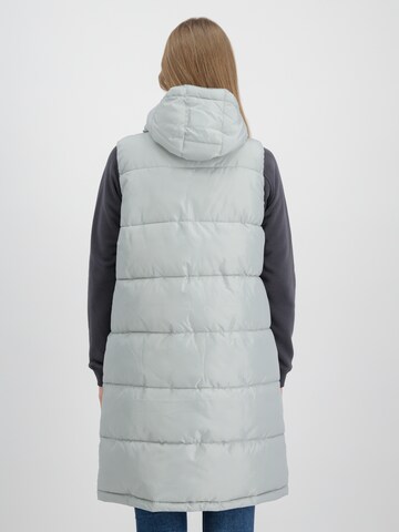 Gilet di ALPHA INDUSTRIES in grigio