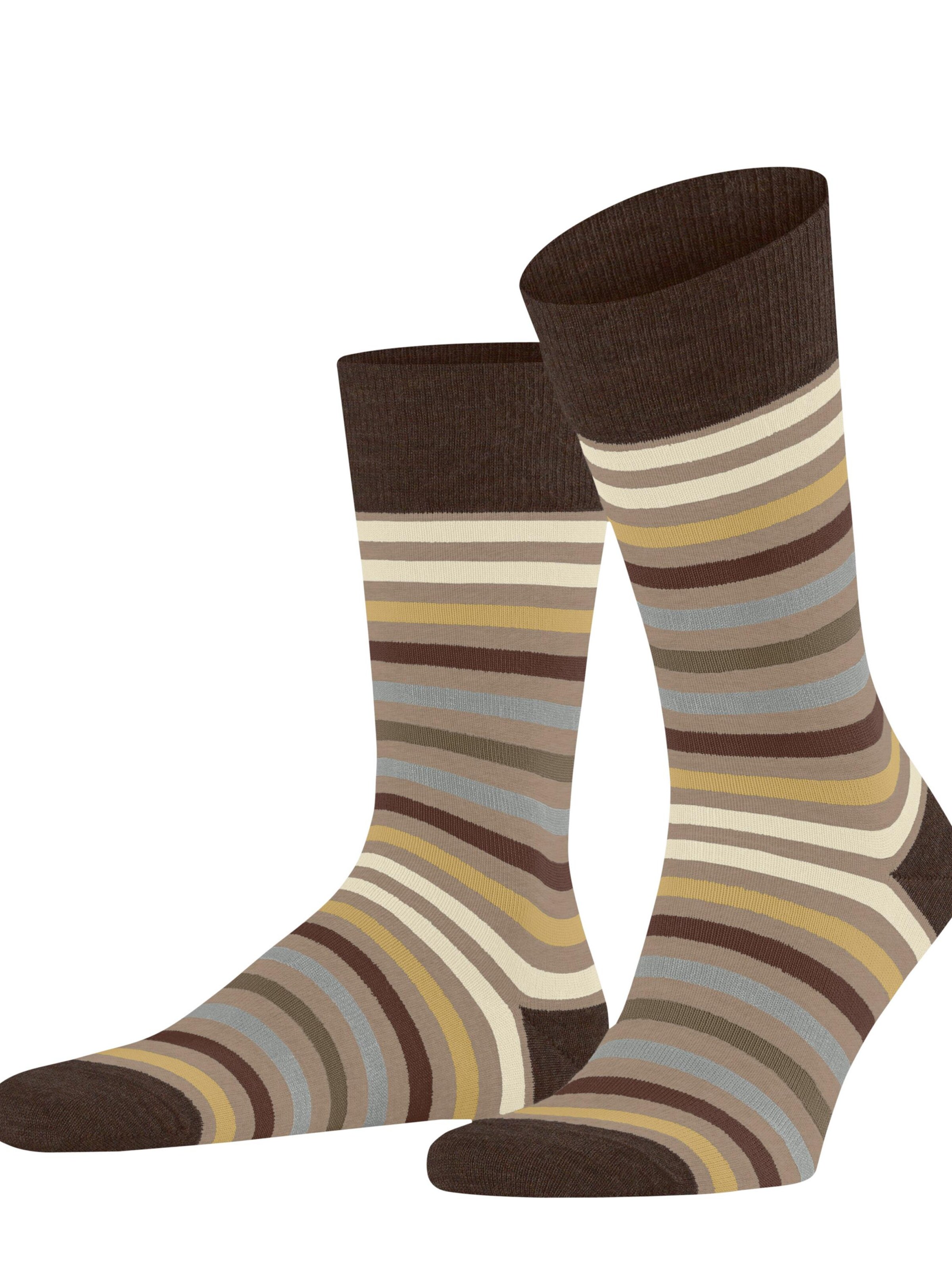 FALKE Socks 'Tinted Stripe' in Beige: front