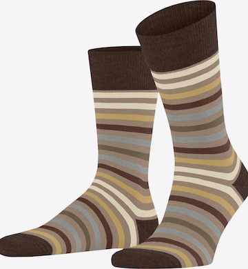 FALKE Socks 'Tinted Stripe' in Beige: front