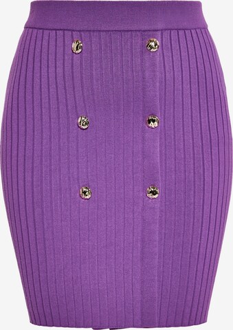 faina Skirt in Purple: front