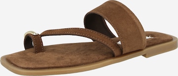 STEVE MADDEN Босоножки через палец 'Ellaina' в Коричневый: спереди